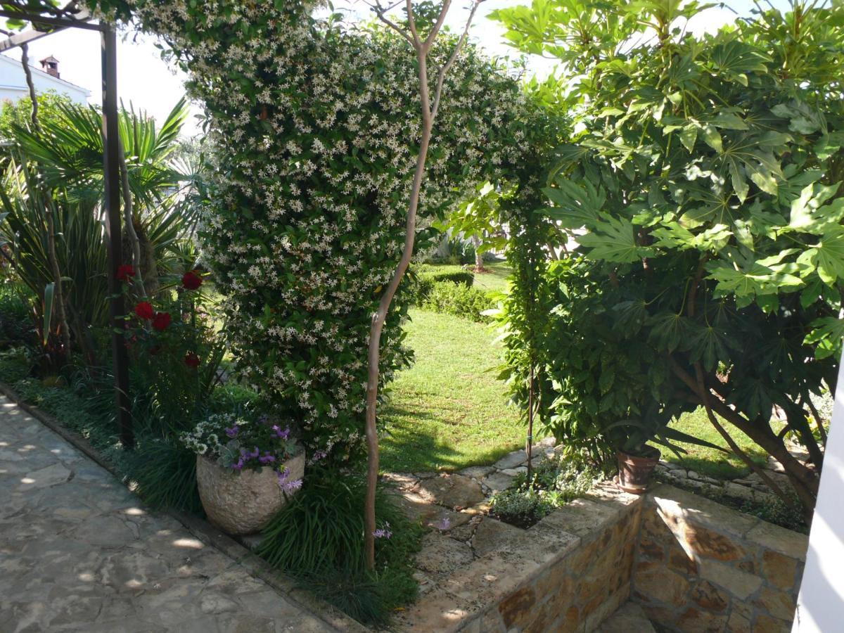 Apartment Marijana Porec Exterior photo